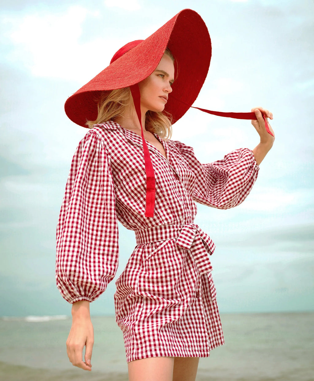 The Meghan Mini Gingham Dress, in Red DC-BrunnaCo